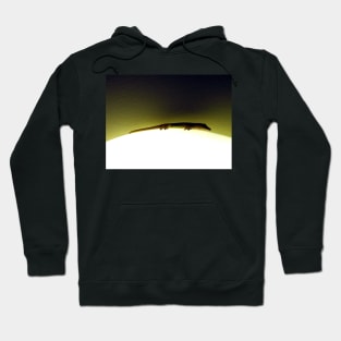 Moon Lizard Hoodie